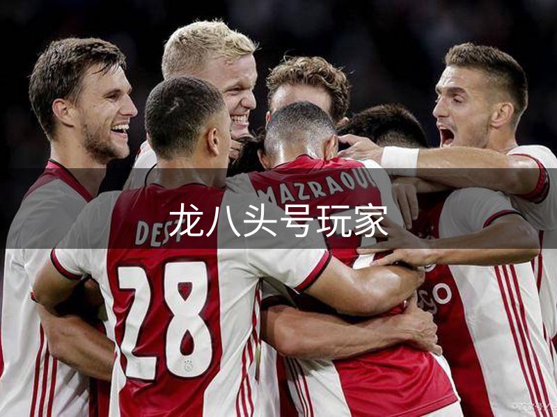 关于龙八头号玩家